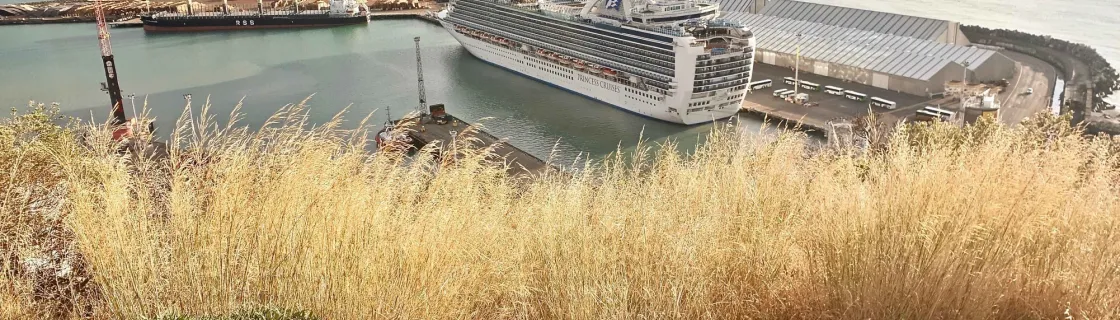 Cruise ship docked in Napier, New Zealand.